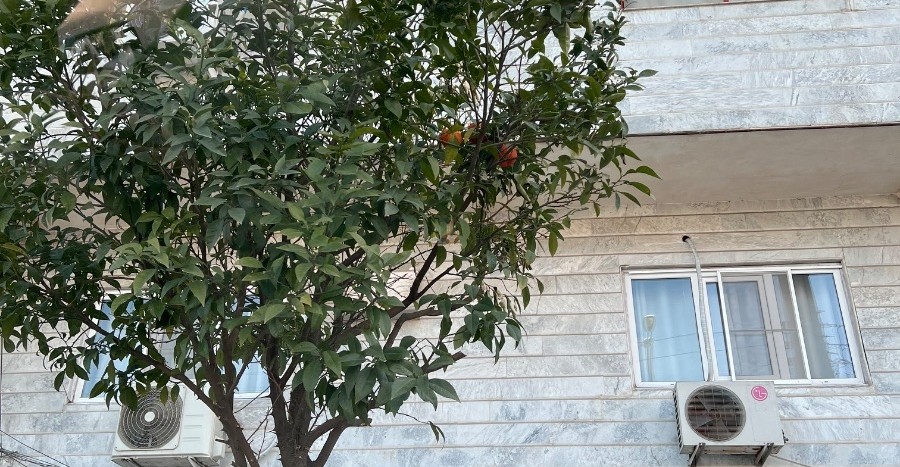  فروش  خانه ویلایی 110 متری  در بابل 